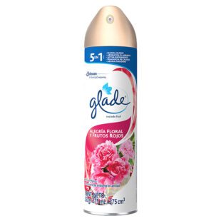 AMBIENT GLADE SPRAY 275 ML ALE.FLOR