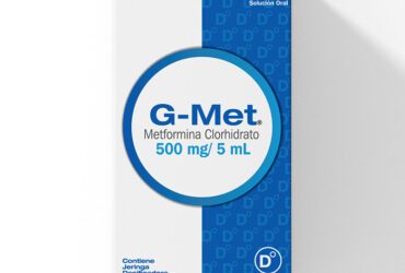 G Met 500 Mg Solución Oral X 240 Ml