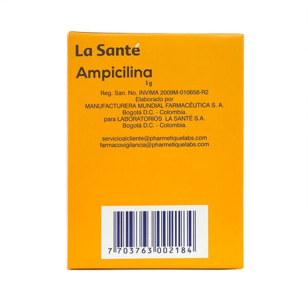 AMPICILINA 1 GR 100 TAB LS