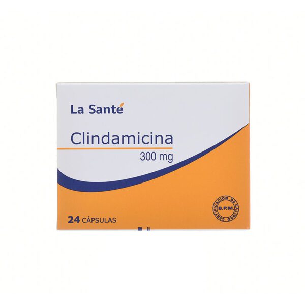 CLINDAMICINA 300 MG 24 TAB LS
