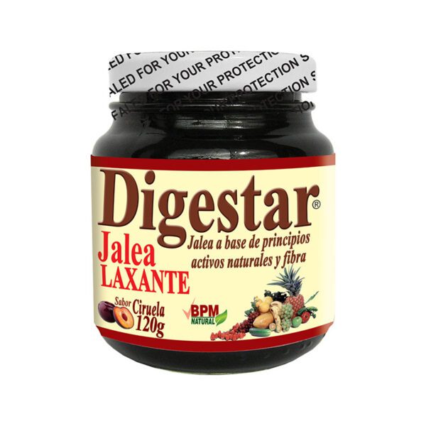 DIGESTAR 120 GMS JALEA