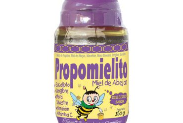 MIELTERTOS PROPOMIELITO KIDS 350 G