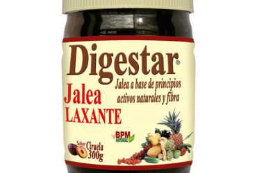 DIGESTAR 300 GMS JALEA