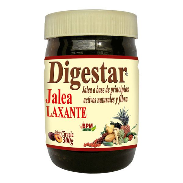 DIGESTAR 300 GMS JALEA