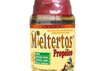 MIELTERTOS PROPOLEO 260 ML ADULTO